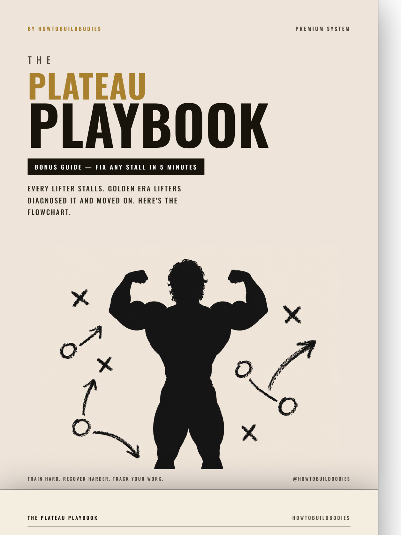 The Plateau Playbook cover